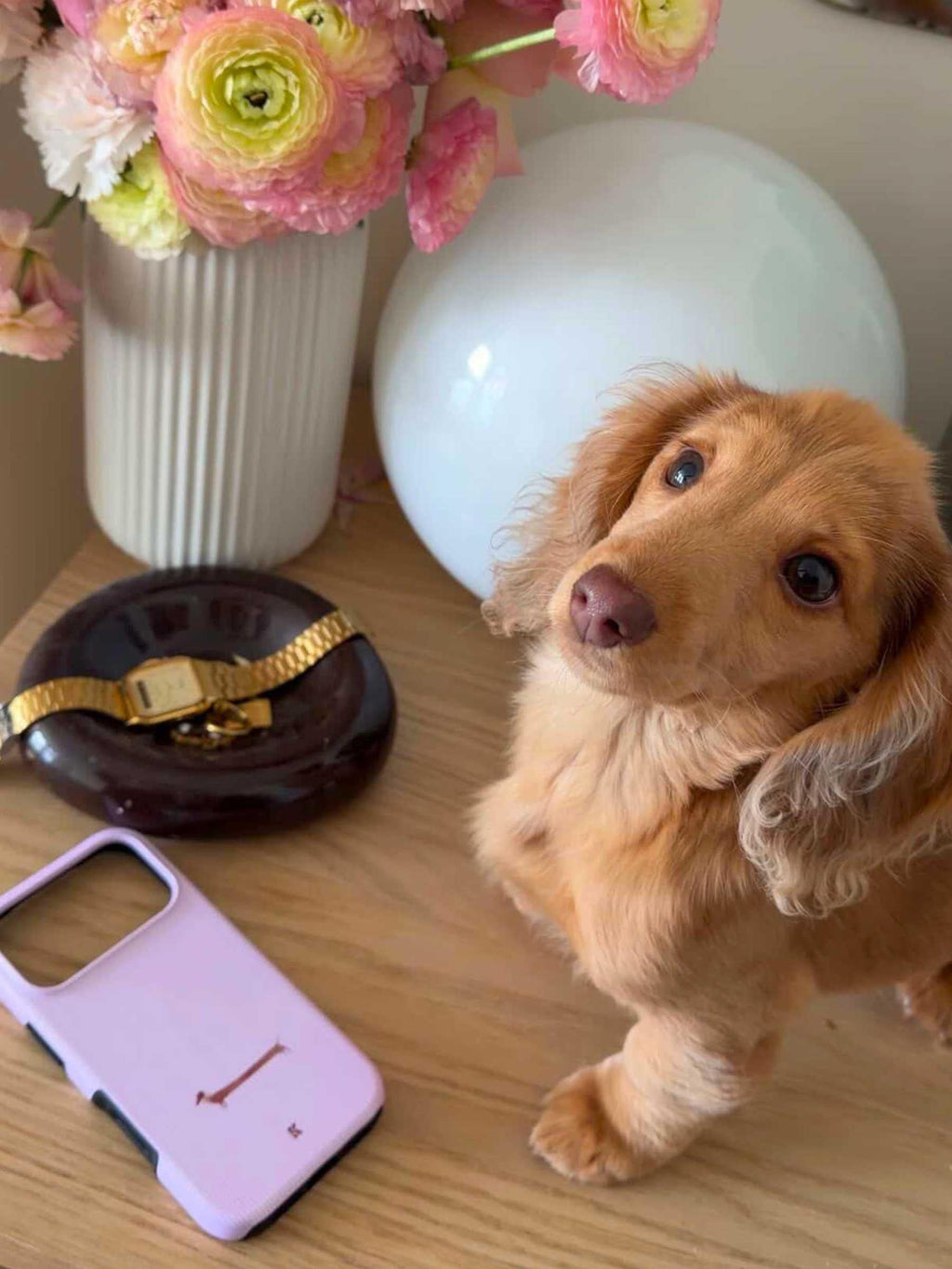 Doxie Love | phone case · Veloure