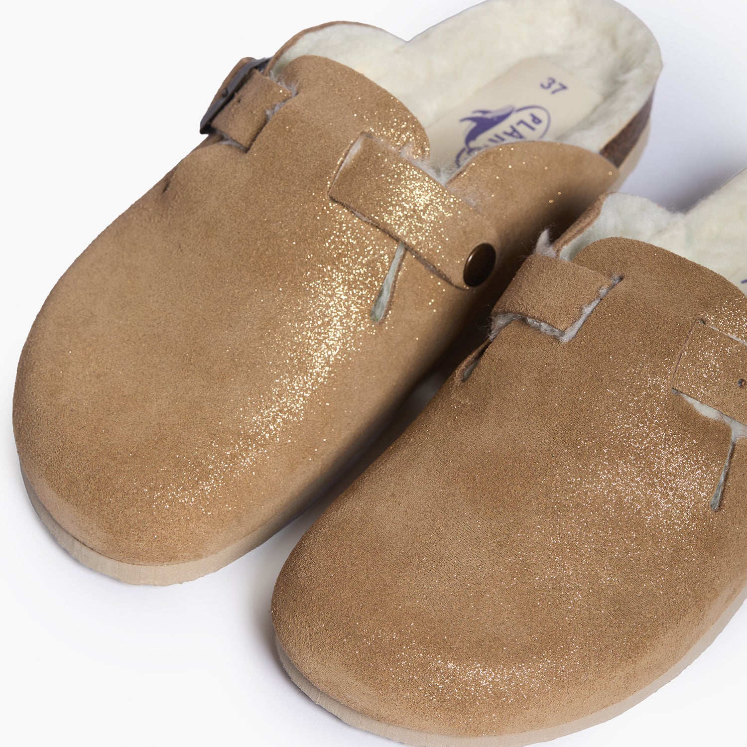 Blog Mushroom Boreal Wool Comfort